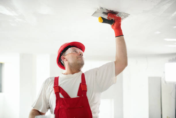 Mold Documentation for Insurance Claims in Venice Gardens, FL